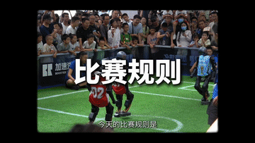 YgT, com, 分社